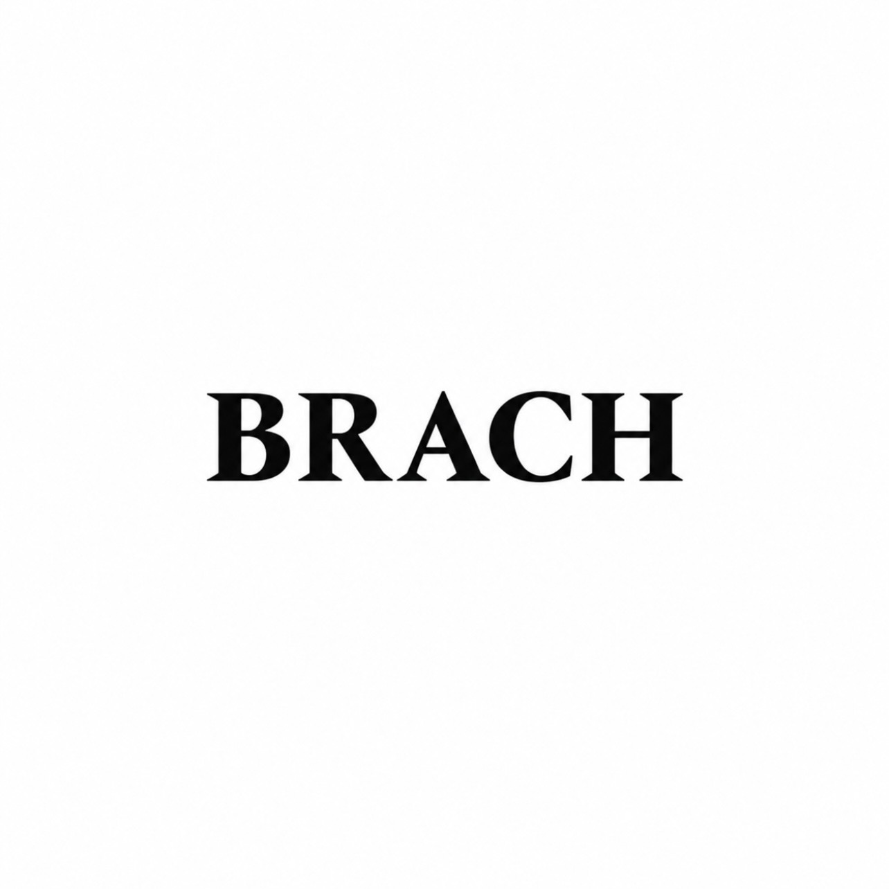 HOTEL BRACH PARIS 