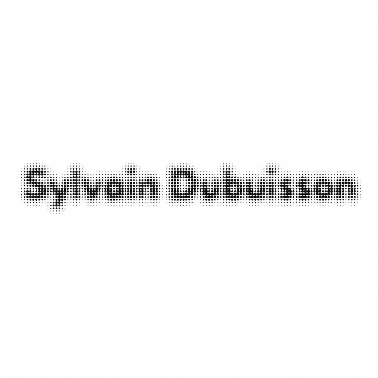 SYLVAIN DUBUISSON 