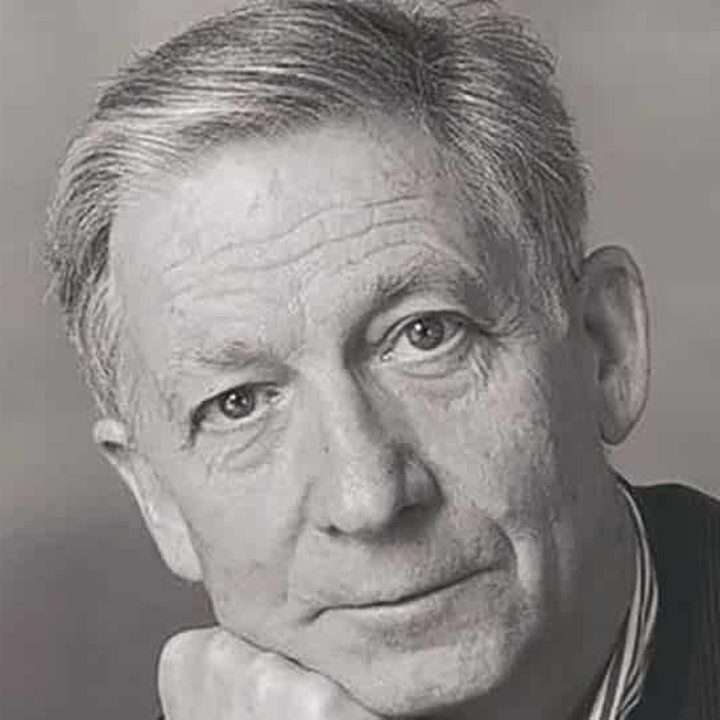 Sylvain DUBUISSON